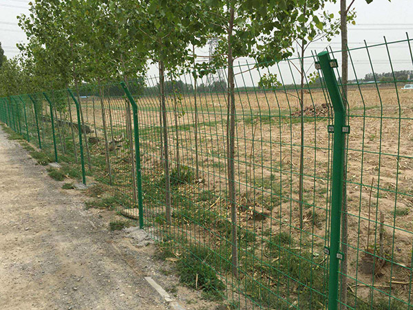 廣州雙邊絲護欄網圖片3