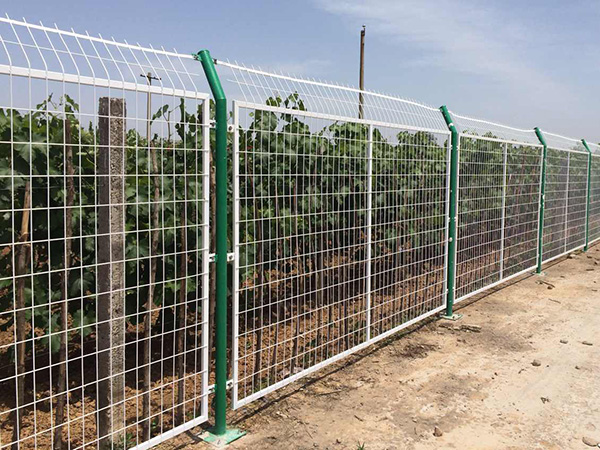 工廠廠區(qū)隔離柵圖片4